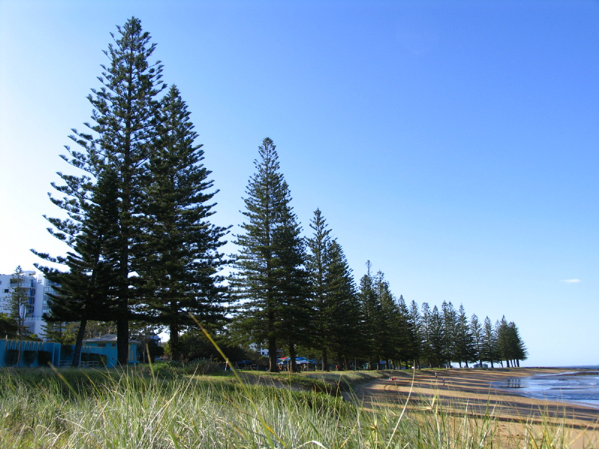 The Redcliffe Peninsula Image 1